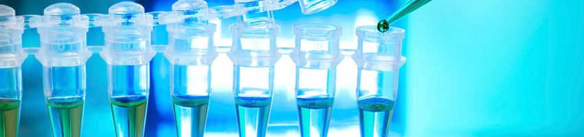 Test ingresso Biologia e Biotecnologie 2020: i tipi di ...