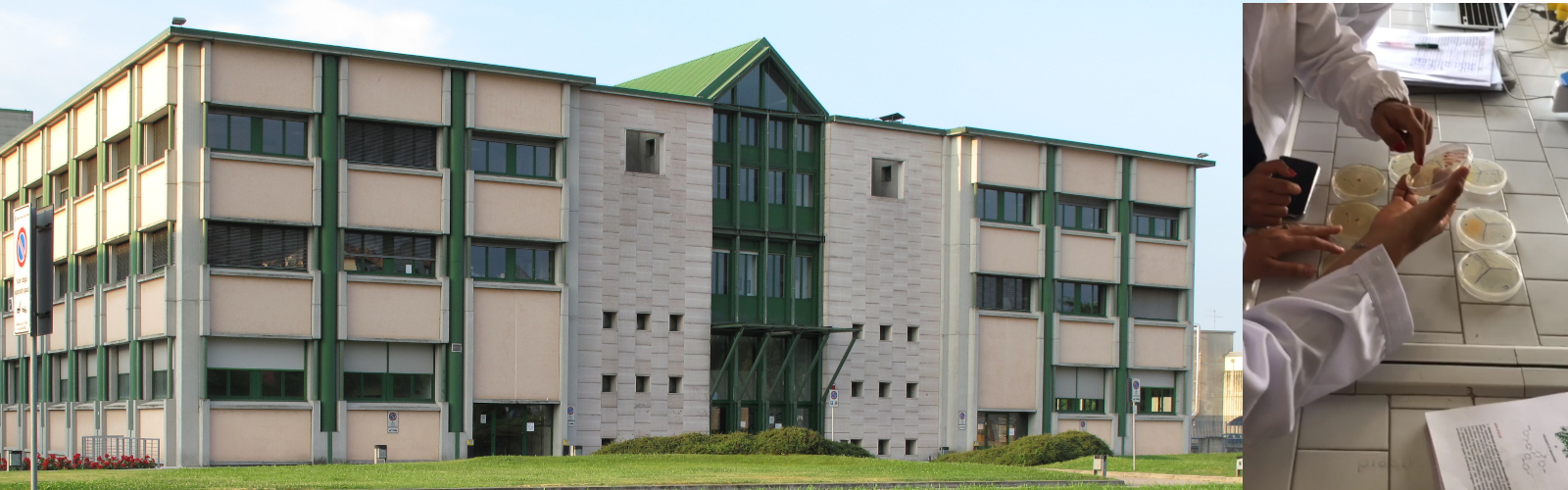 Biotecnologie per il pianeta e per l'uomo